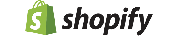 shopify ecommerce store website development
