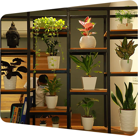 Maktal office interior