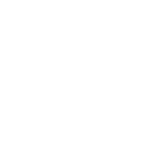 whatsapp white icon